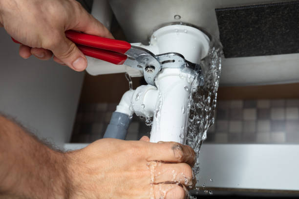 Best Local water damage restoration  in Carrollton, MO