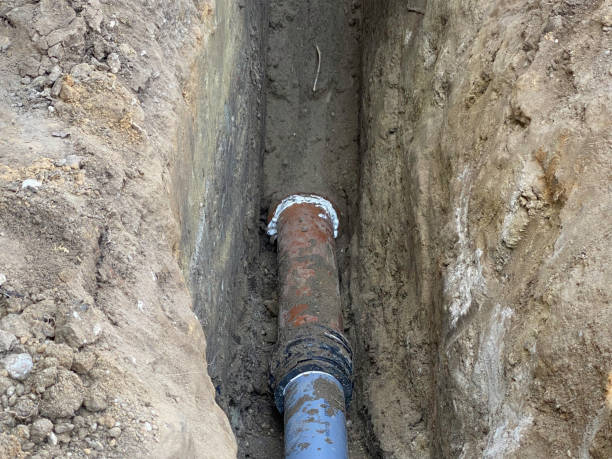 Best Sewage cleanup and water damage restoration  in Carrollton, MO
