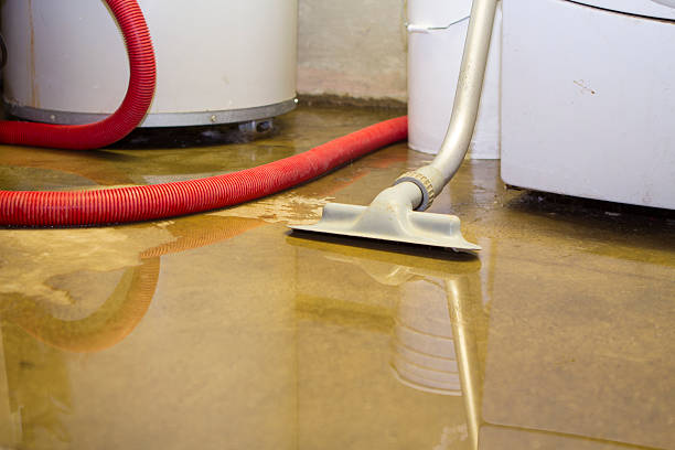 Best Water damage restoration near me  in Carrollton, MO