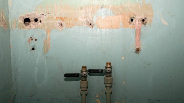 Best Flood restoration services  in Carrollton, MO