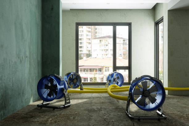 Best Fire Damage Restoration  in Carrollton, MO