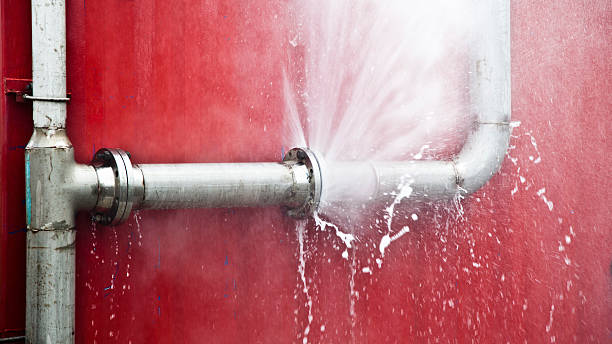 Best Mold removal after water damage  in Carrollton, MO