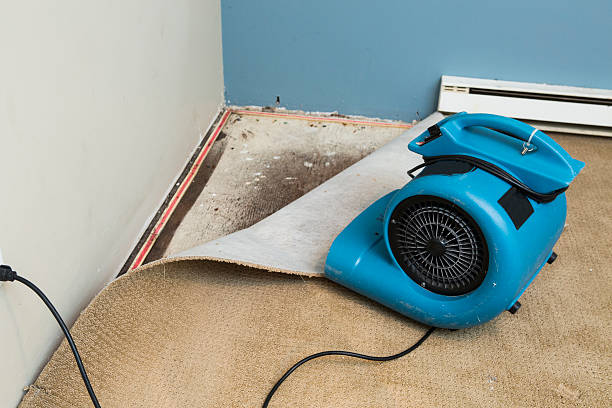 Best Commercial water damage restoration  in Carrollton, MO